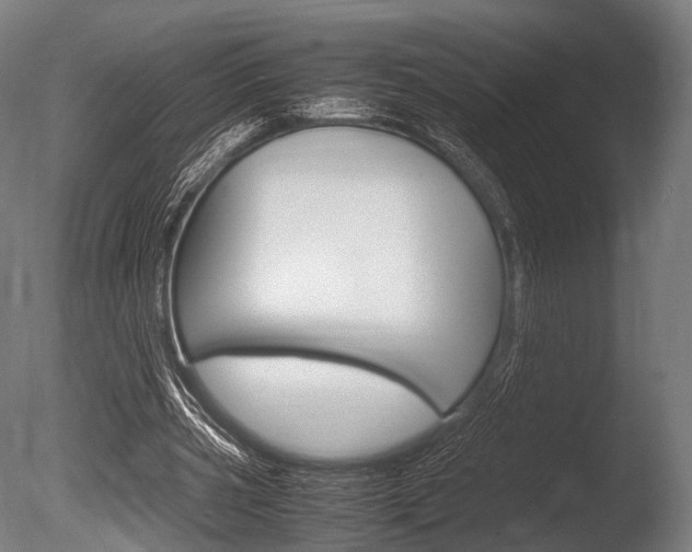 X0000086080533200703231052