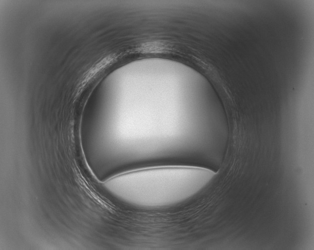X0000086080535200703231052