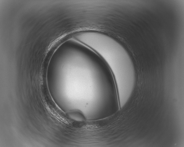 X0000086080536200703231052