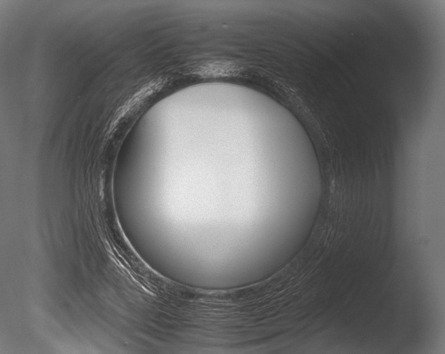 X0000086080539200703231052