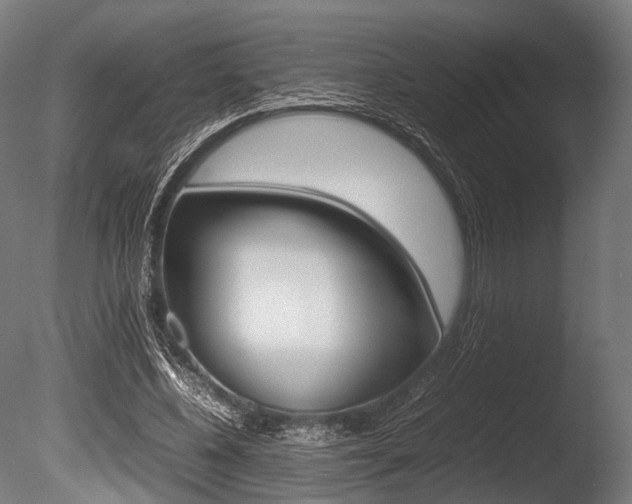 X0000086080540200703231052