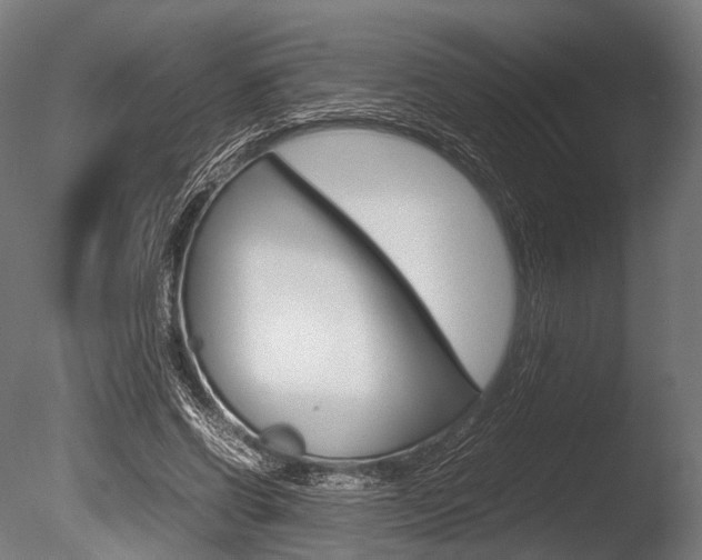 X0000086080542200703231052