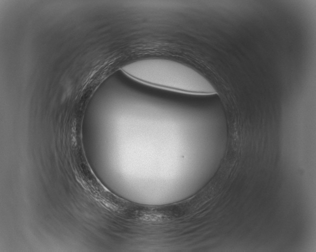 X0000086080547200703231052