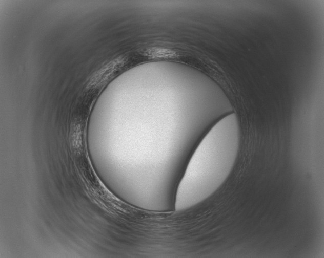 X0000086080549200703231052