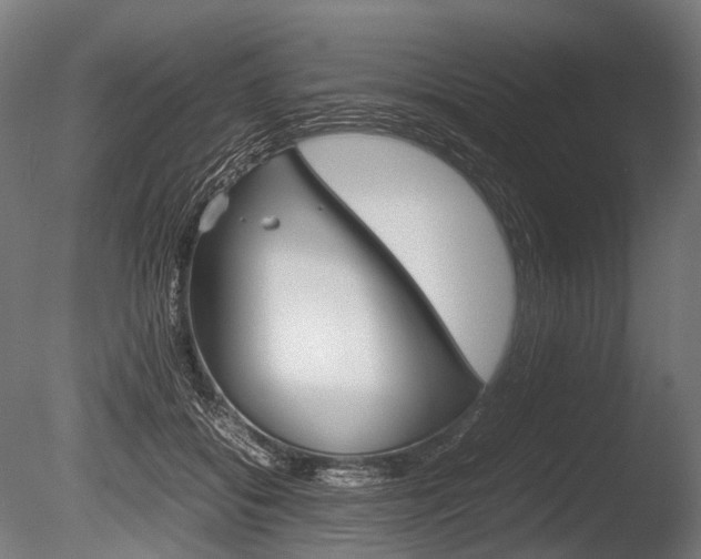 X0000086080556200703231052