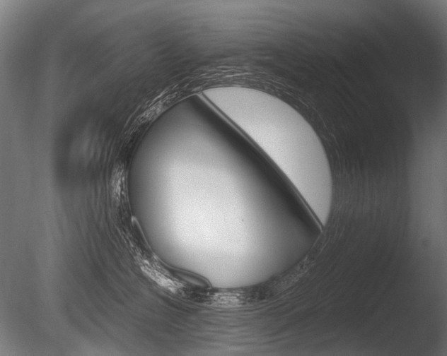 X0000086080574200703231053