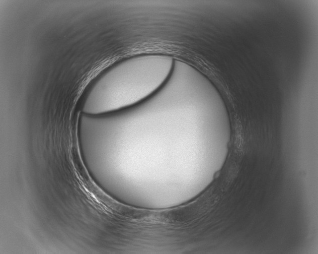 X0000086080578200703231052