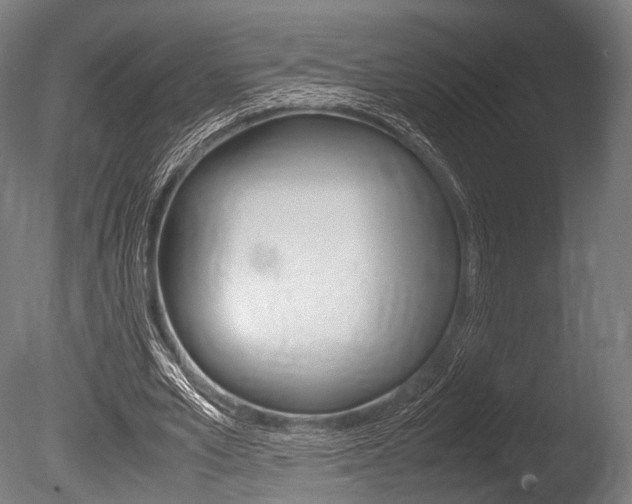 X0000086080581200703231052
