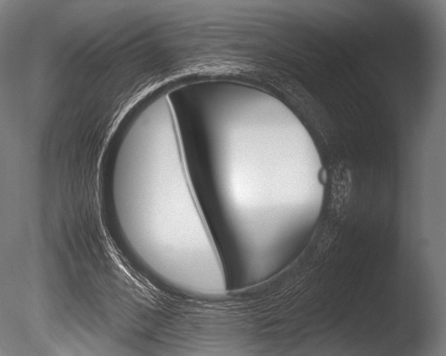 X0000086080584200703231052