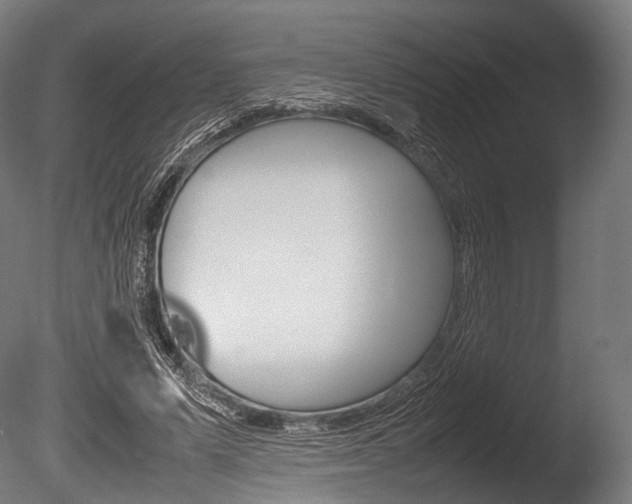 X0000086080591200703231052