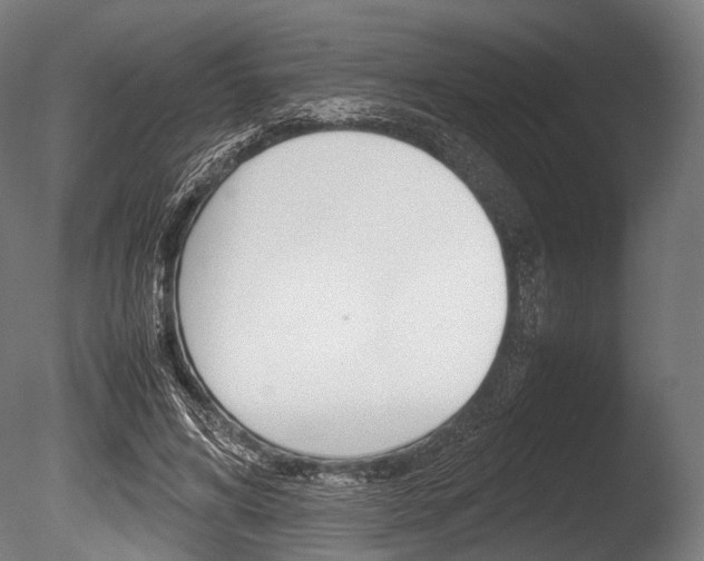 X0000086080592200703231052