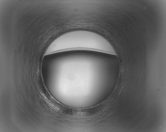 X0000086080593200703231052