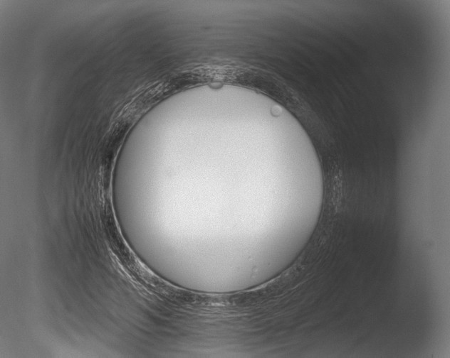 X0000086080594200703231052