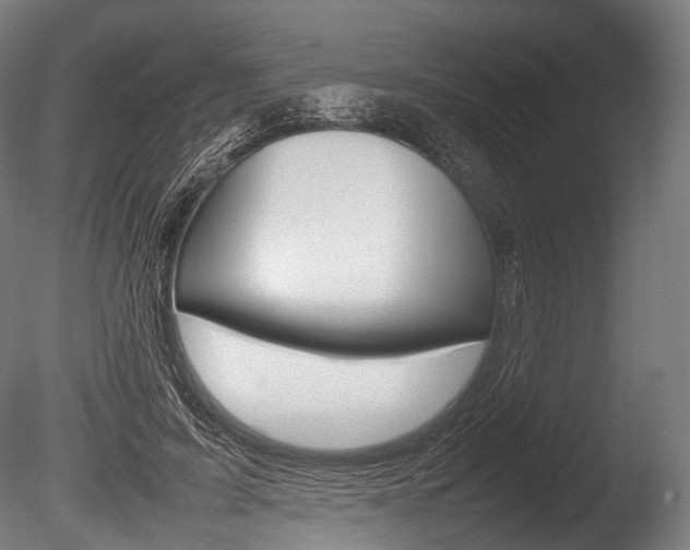 X0000086080595200703231052