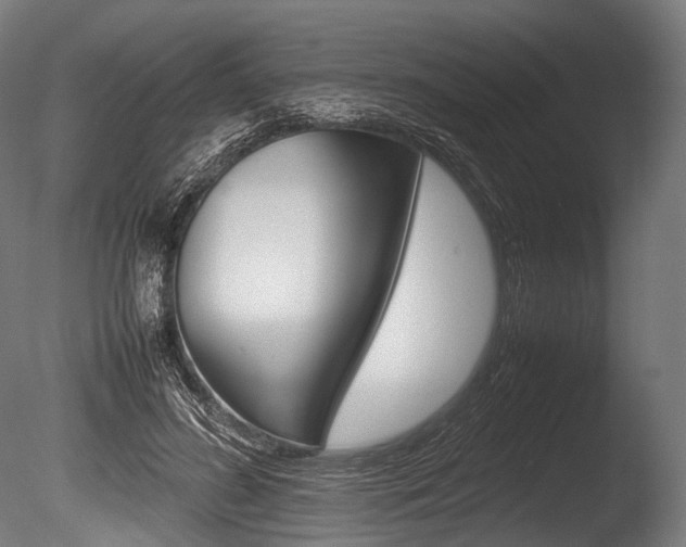 X0000086080596200703231052