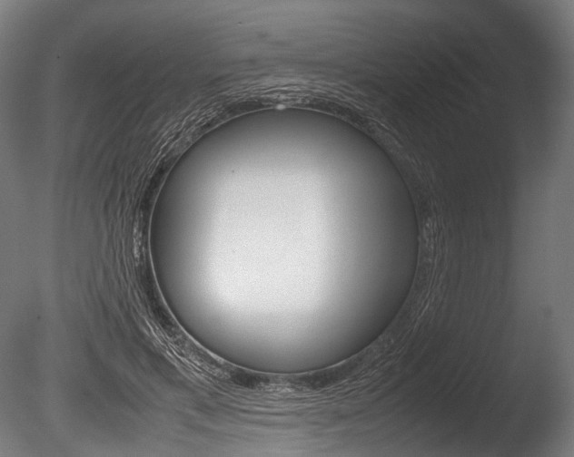X0000086080597200703231052