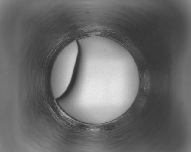X0000086080598200703231052