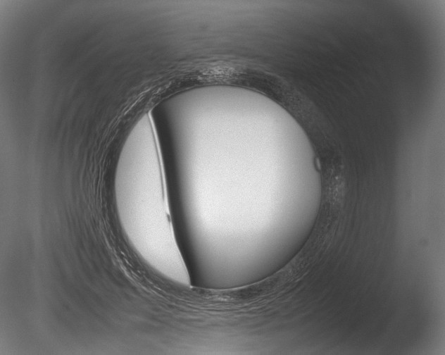 X0000086080599200703231052