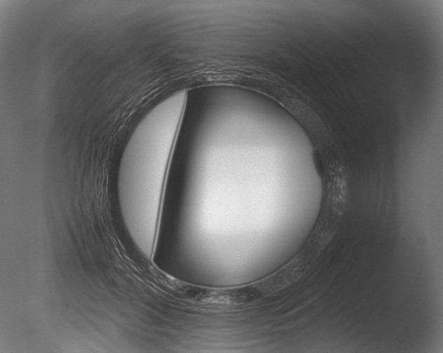 X0000086080604200703231051