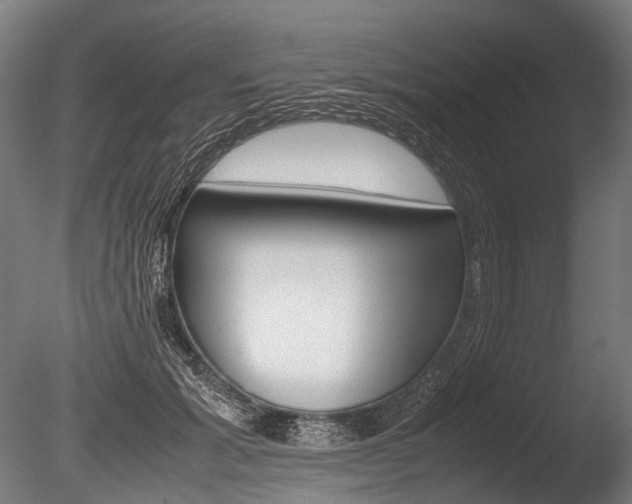X0000086080605200703231051