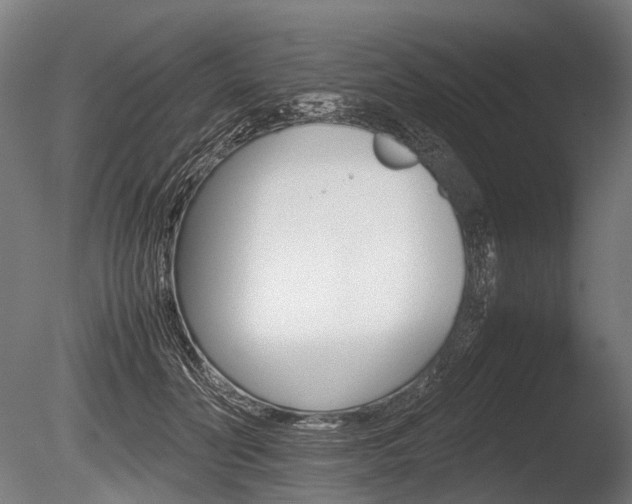 X0000086080606200703231051