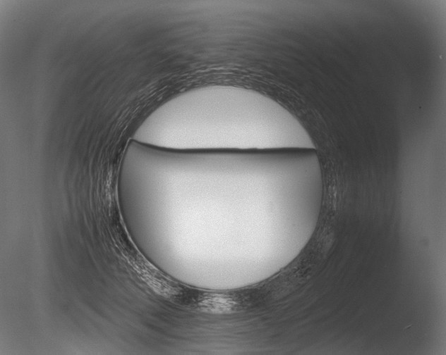 X0000086080610200703231051