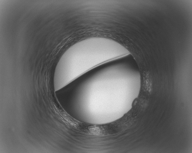 X0000086080616200703231051