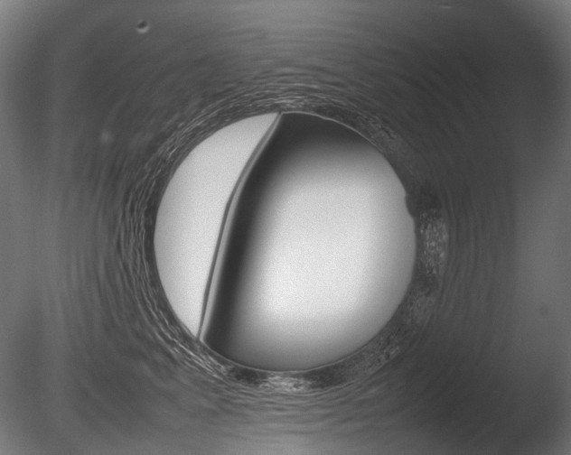 X0000086080617200703231051