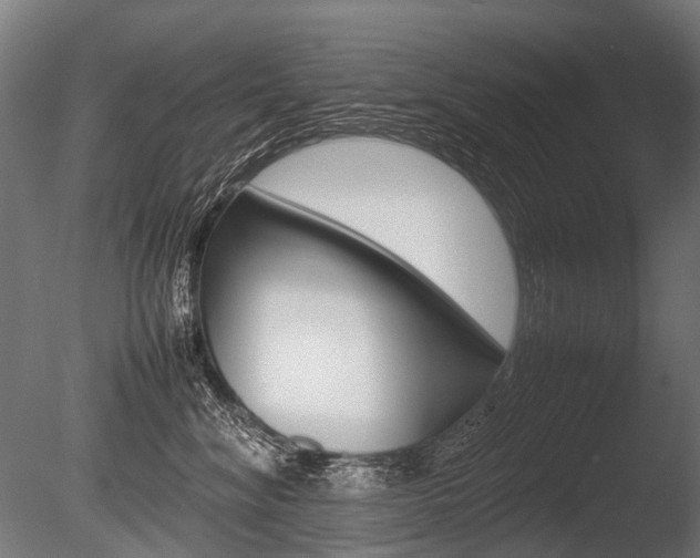 X0000086080620200703231051