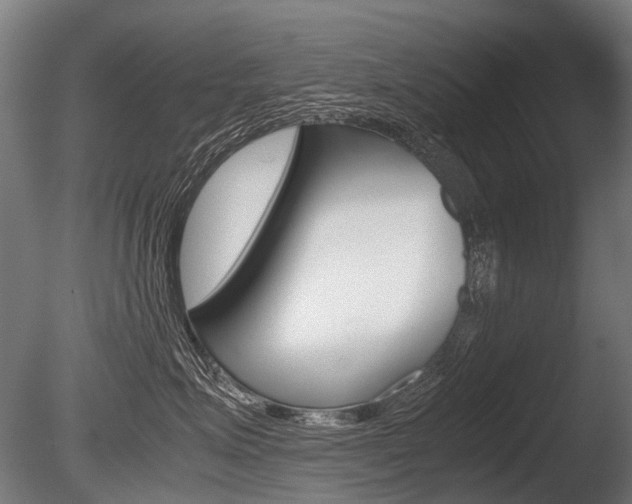 X0000086080623200703231051