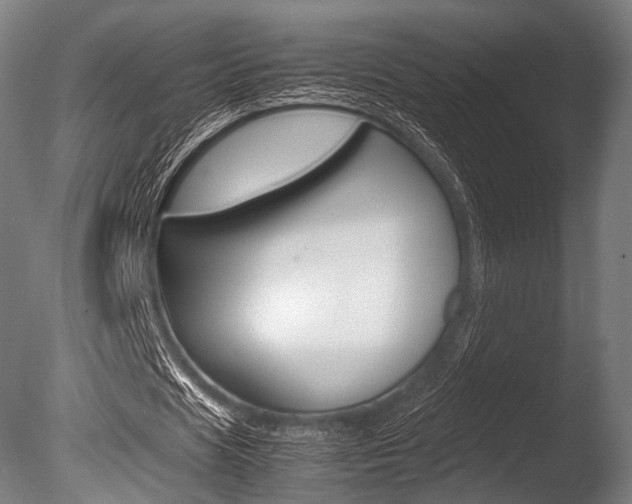 X0000086080625200703231050
