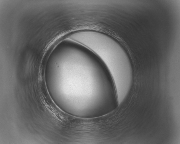 X0000086080628200703231050