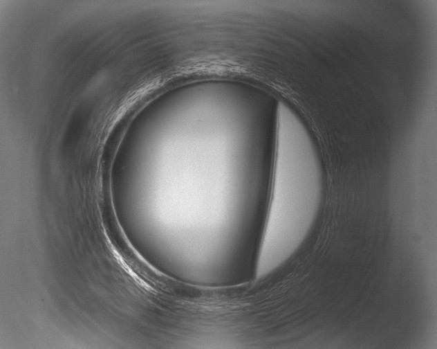 X0000086080630200703231050