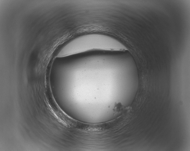 X0000086080638200703231051