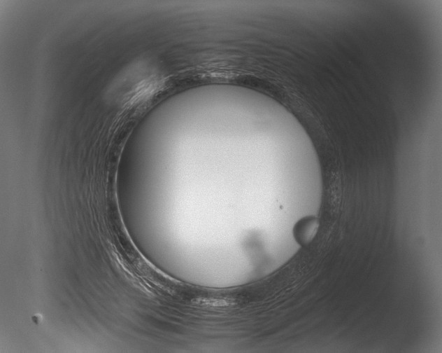 X0000086080639200703231051