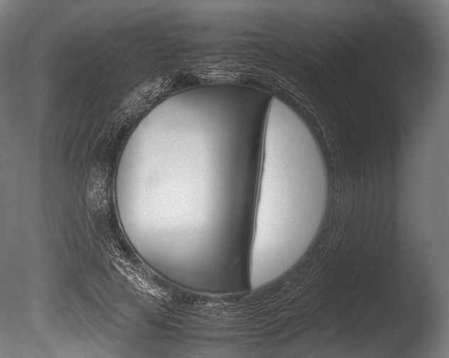 X0000086080641200703231051