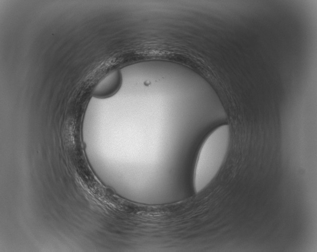 X0000086080643200703231051