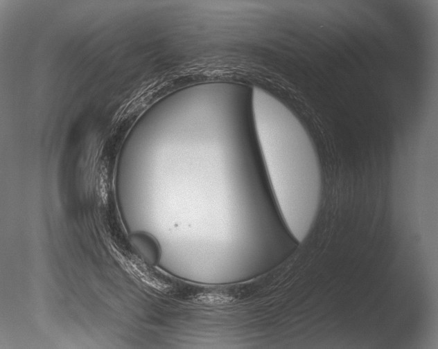 X0000086080644200703231051