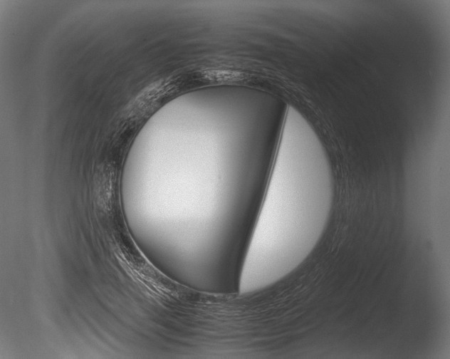 X0000086080645200703231051