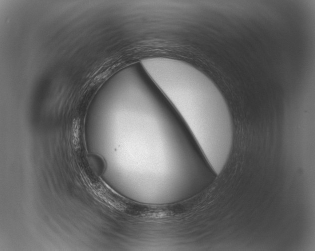 X0000086080646200703231051