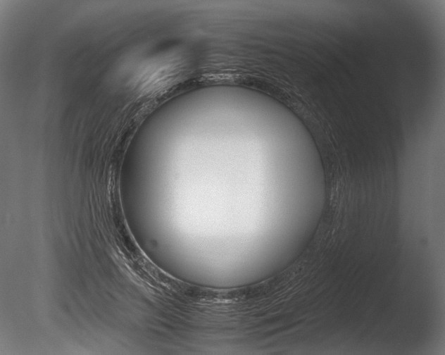 X0000086080647200703231051