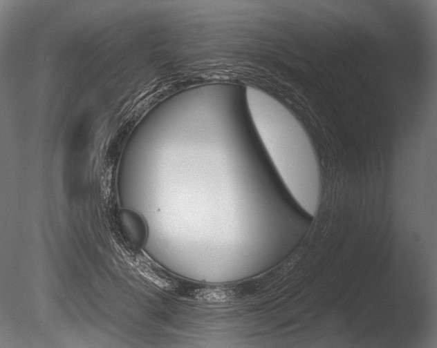 X0000086080652200703231051