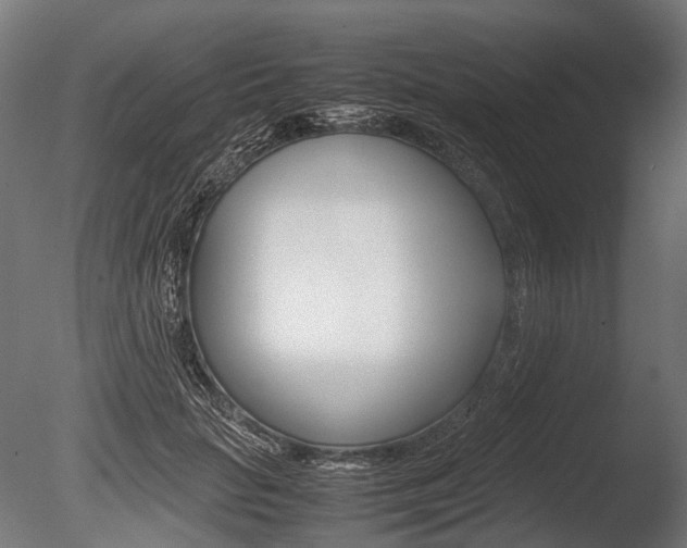 X0000086080653200703231051