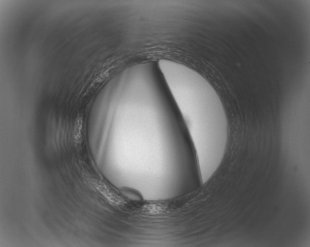 X0000086080660200703231051