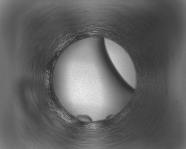 X0000086080664200703231051