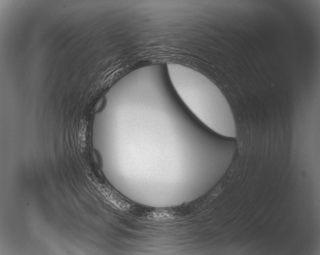 X0000086080668200703231051
