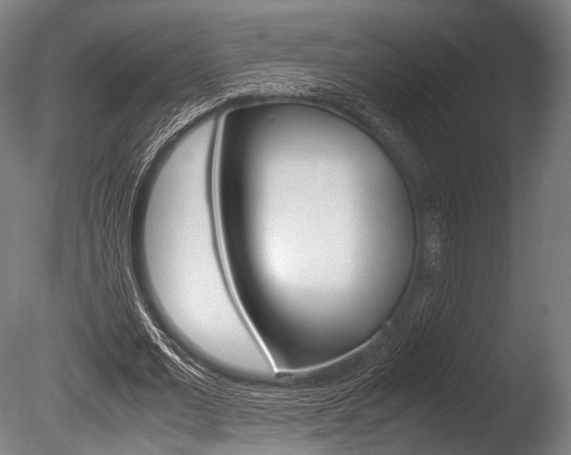 X0000086080677200703231050