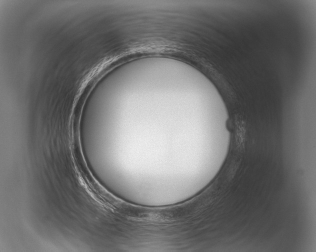 X0000086080678200703231050