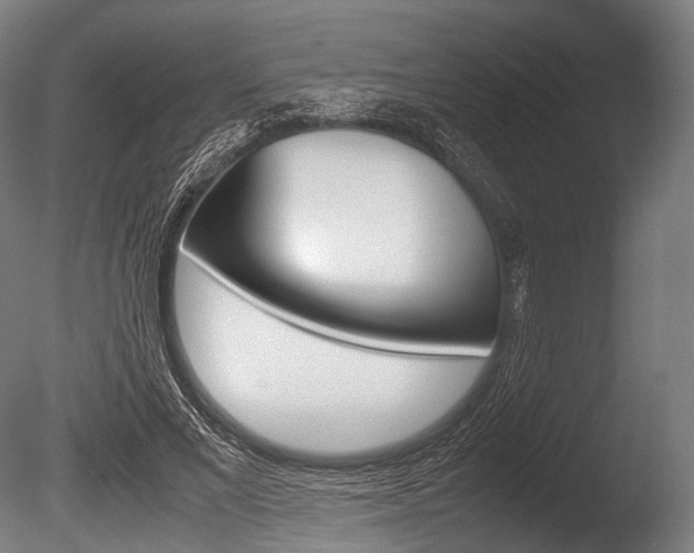 X0000086080685200703231050