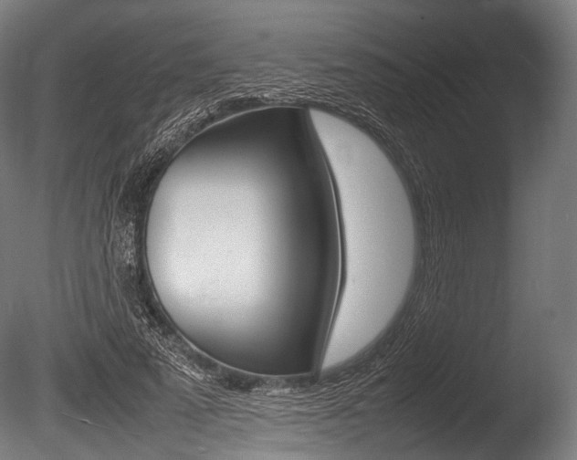 X0000086080689200703231050